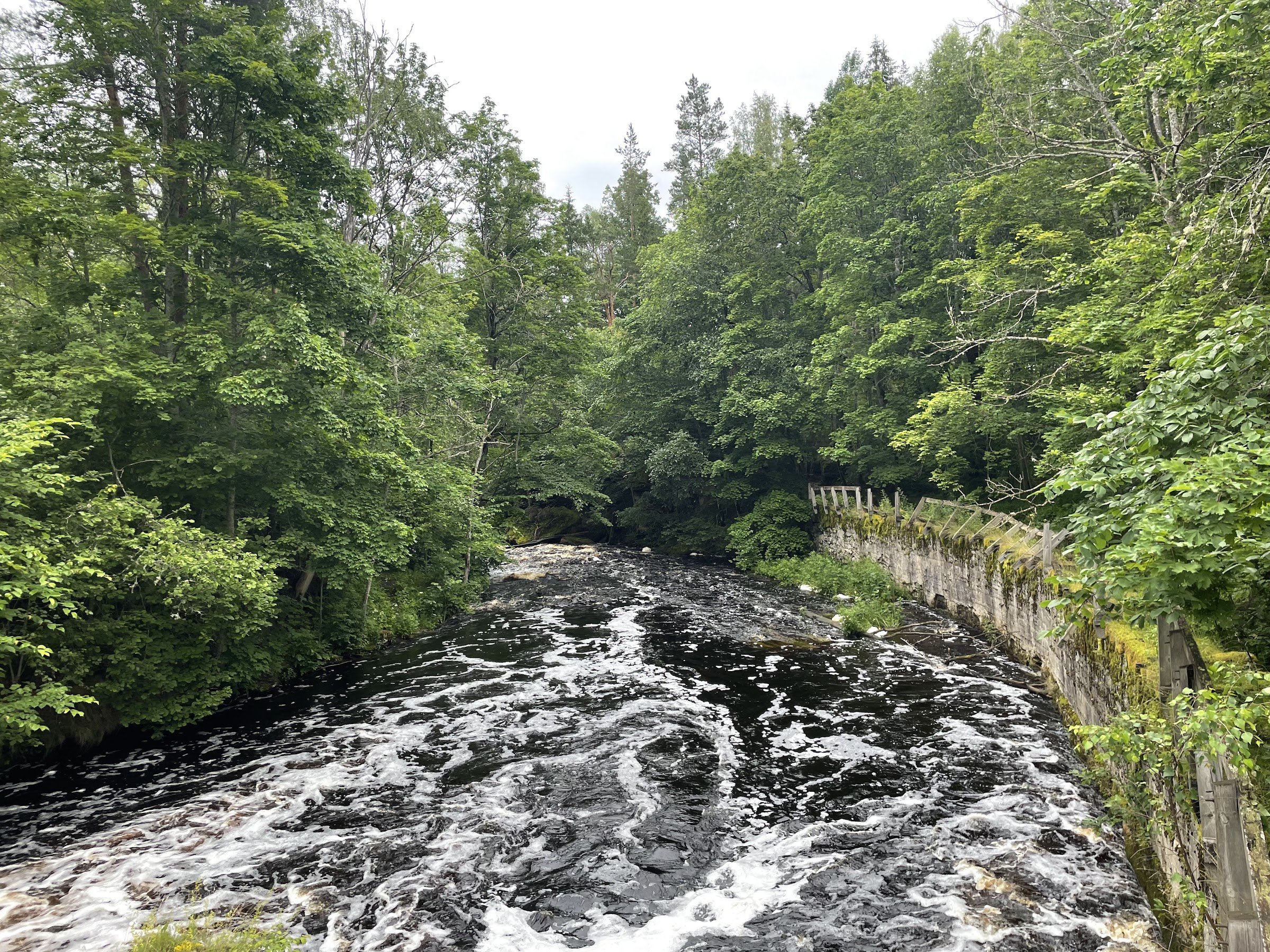 RMK Nõmmeveski lõkkekoht